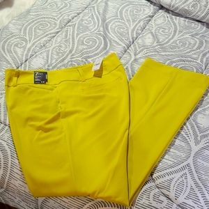 New York & Co Slacks